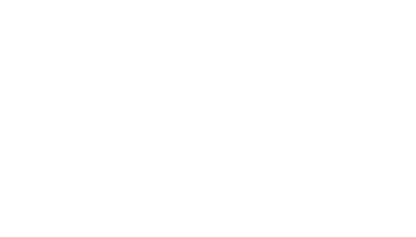 NerdVana Expo logo